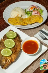 restaurante-y-cafeteria-03